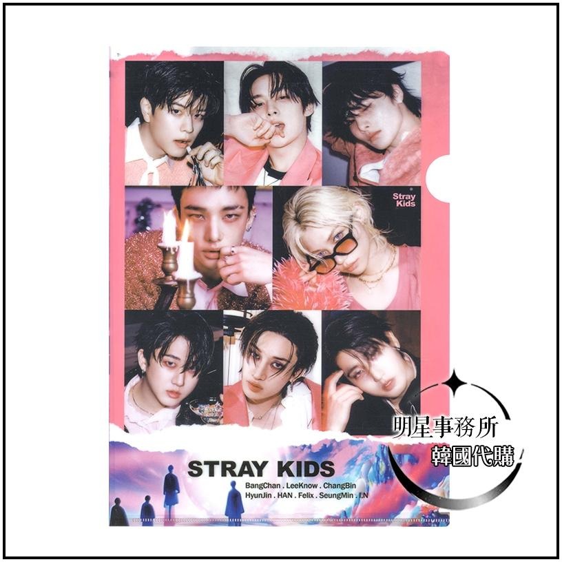 韓國進口 SKZ Stray kids A4資料夾 李龍馥 鉉辰 昇玟 Lee Know Felix han-細節圖2