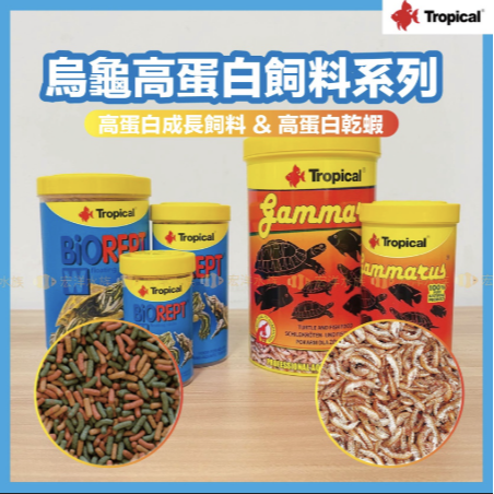 【Tropical 高蛋白乾蝦／烏龜成長飼料】澤龜 水龜 烏龜 烏龜飼料 乾燥蝦飼料 乾蝦飼料 魚飼料 蝦乾 乾蝦-細節圖2