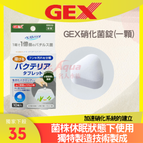 S-40日本GEX五味-硝化菌錠 (一顆) 溶解型 淨化水質 小型缸 生態缸 迷你缸 鬥魚缸