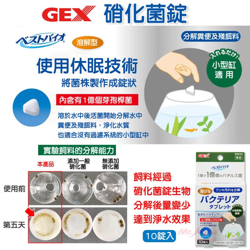 S-40日本GEX五味-硝化菌錠 (一顆) 溶解型 淨化水質 小型缸 生態缸 迷你缸 鬥魚缸-細節圖2