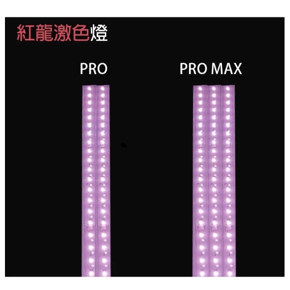 CX-6 PROMAX 紅龍激色燈-細節圖2