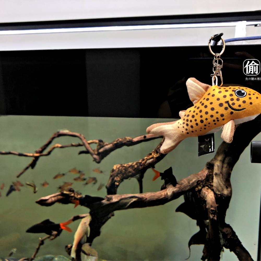大明星愛用款 阿圭鼠魚娃娃鑰匙圈-細節圖2