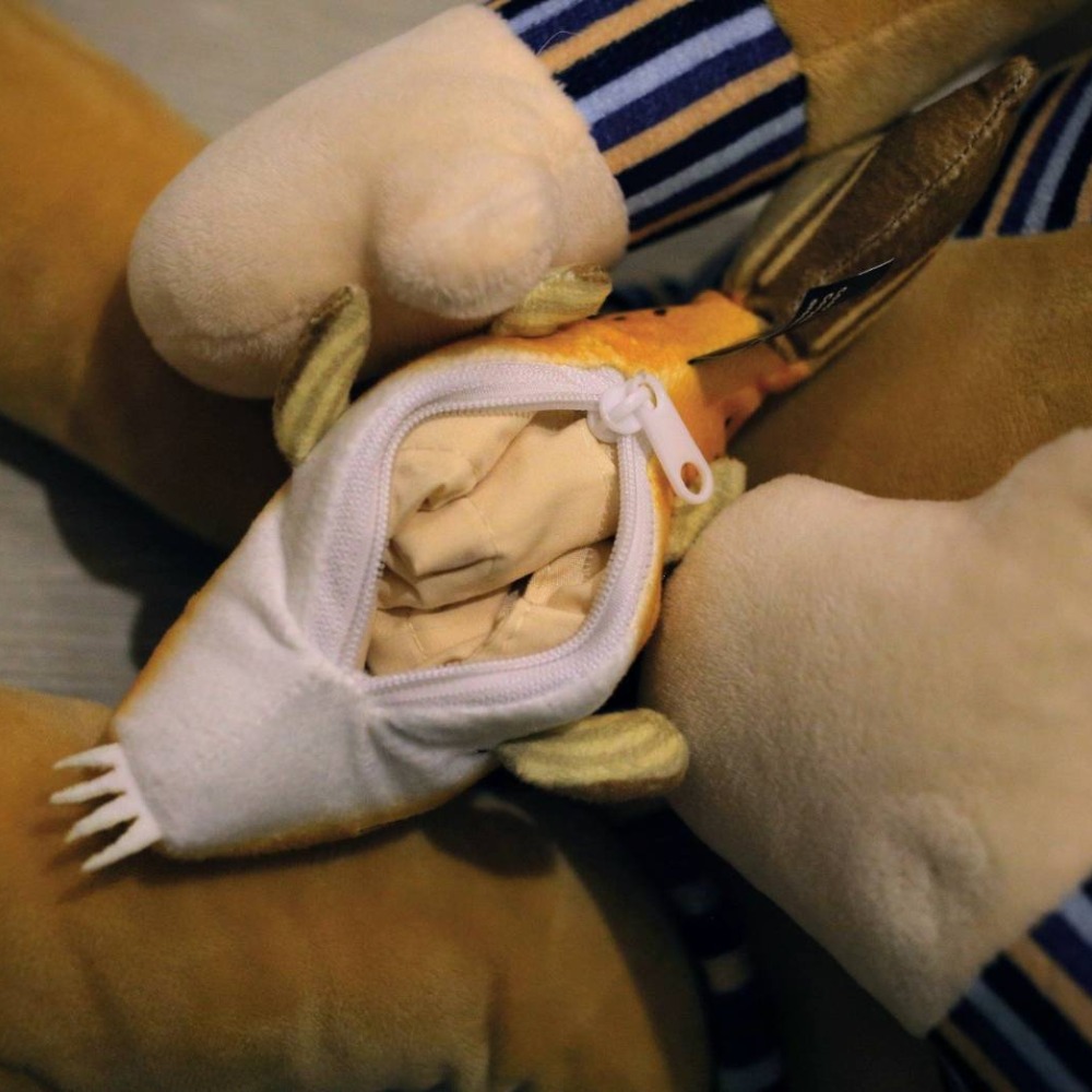 大明星歐陽鋒朝偉代言 現撈仔 阿奎尼斯 鼠魚購物袋-細節圖3