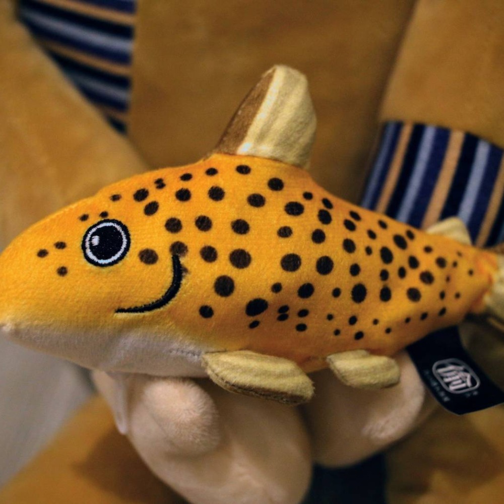 大明星歐陽鋒朝偉代言 現撈仔 阿奎尼斯 鼠魚購物袋-細節圖4