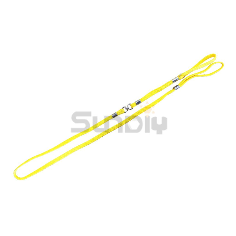 (燦光五金)迷你犬鍊/狗鍊/犬鍊/狗牽繩/寵物牽繩/外出繩/拉繩/溜狗繩 大.不附鈴鐺-細節圖2