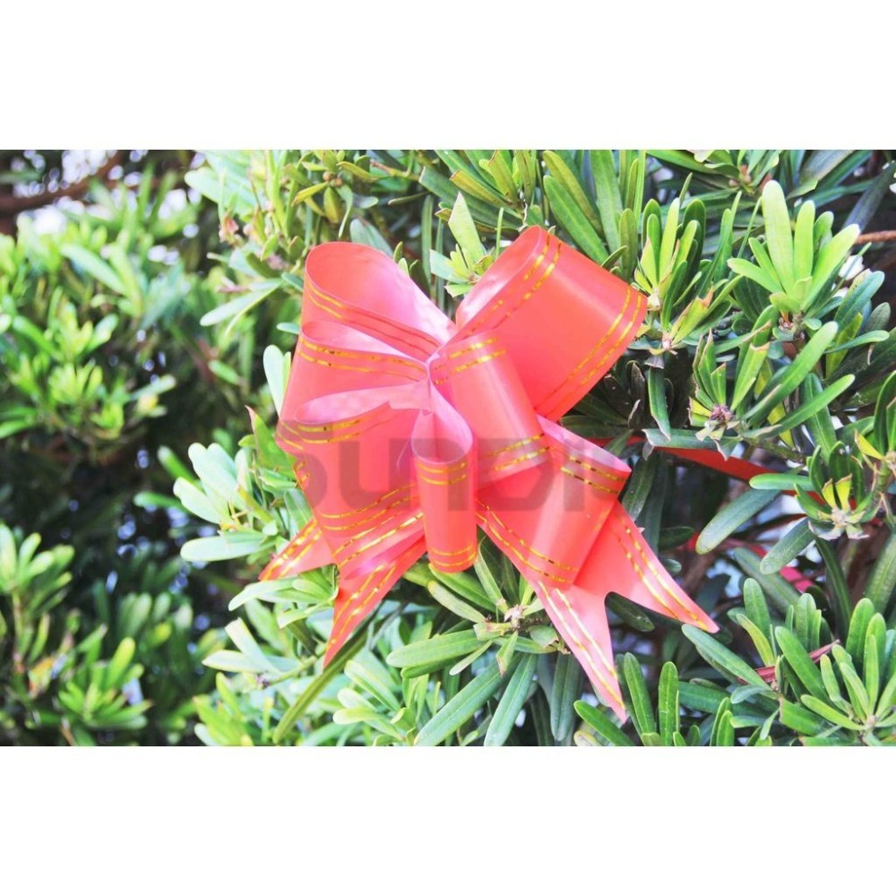 (大型工具)開工彩帶花/手拉花/動工彩帶/鳳梨花/花彩帶/開花禮球/剪綵用品/彩球-(紅色金邊)1包10入-細節圖2