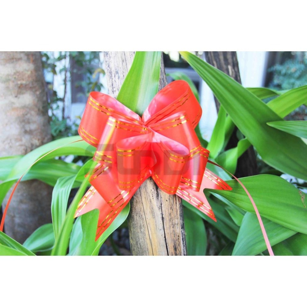 (大型工具)開工彩帶花/手拉花/動工彩帶/鳳梨花/花彩帶/開花禮球/剪綵用品/彩球-(紅色金邊)1包10入-細節圖3