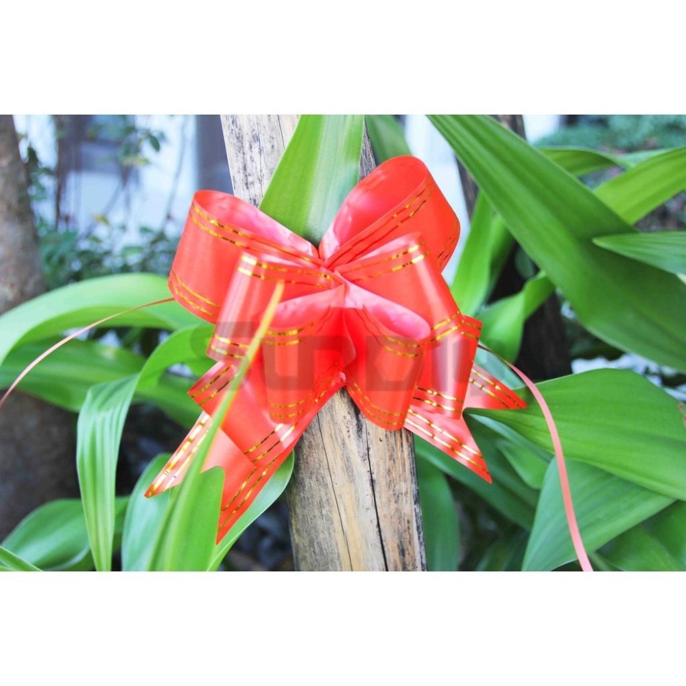 (大型工具)開工彩帶花/手拉花/動工彩帶/鳳梨花/花彩帶/開花禮球/剪綵用品/彩球-(紅色金邊)1包10入-細節圖5