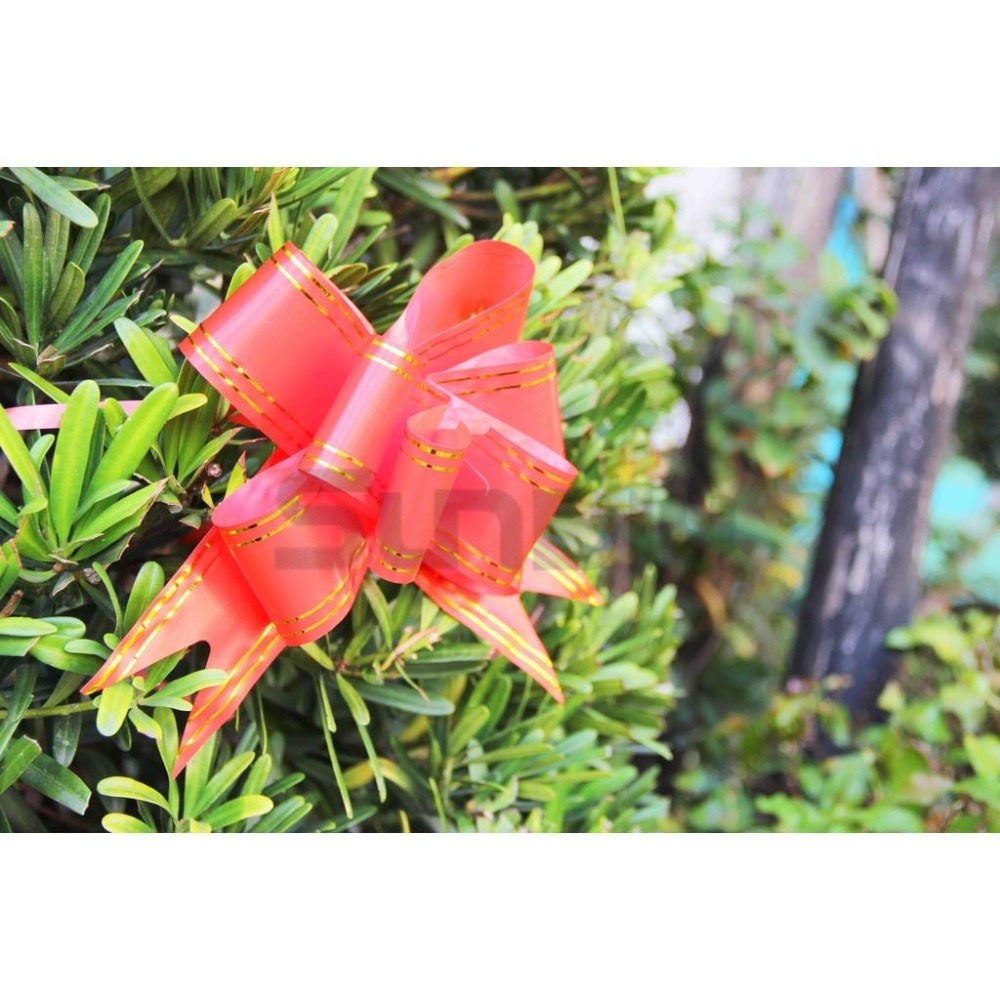 (大型工具)開工彩帶花/手拉花/動工彩帶/鳳梨花/花彩帶/開花禮球/剪綵用品/彩球-(紅色金邊)1包10入-細節圖6
