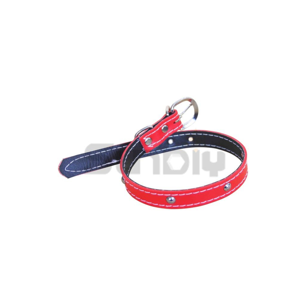 (燦光五金)PVC首鍊/PVC犬皮帶/雙層狗皮帶/狗項鍊/狗頸圈/狗項圈/寵物項圈  中(46cm)最長半徑約14cm-細節圖3