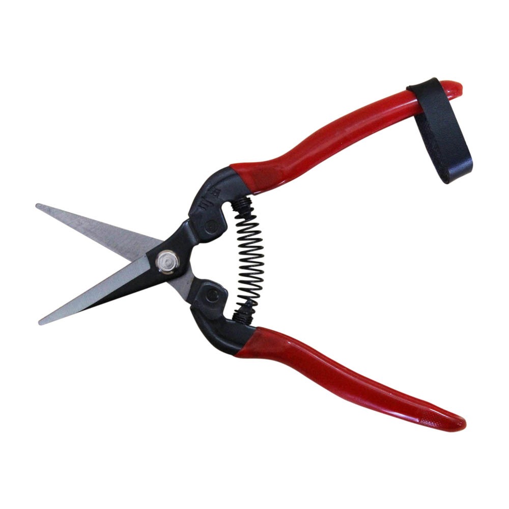 (燦光五金)黑鐵芽切剪 三田 A-7(長直)(190MM) 芽切剪/採果剪/採果鋏/摘果鋏/摘果剪-細節圖3