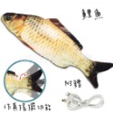 【毛友愛】現貨快速出貨 寵物搖擺電動魚 充電款 仿真搖擺功能 會動的魚 可水洗 魚玩具 狗玩具 貓玩具 寵物玩具-規格圖9