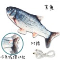 【毛友愛】現貨快速出貨 寵物搖擺電動魚 充電款 仿真搖擺功能 會動的魚 可水洗 魚玩具 狗玩具 貓玩具 寵物玩具-規格圖9