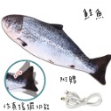 【毛友愛】現貨快速出貨 寵物搖擺電動魚 充電款 仿真搖擺功能 會動的魚 可水洗 魚玩具 狗玩具 貓玩具 寵物玩具-規格圖9