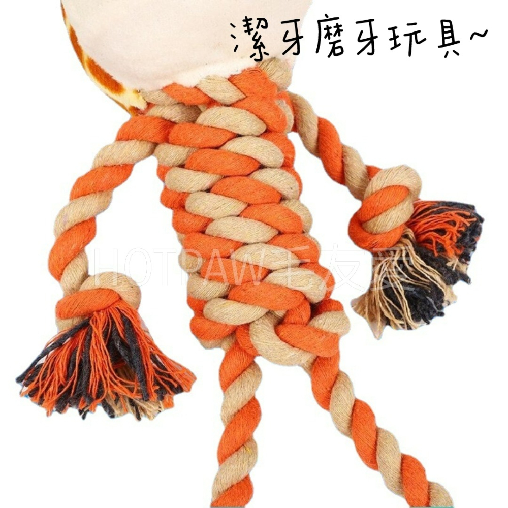 【毛友愛】現貨快速出貨 寵物動物棉繩拉繩 耐咬玩具 磨牙玩具 互動玩具 麻繩玩具 發洩玩具 狗玩具 寵物玩具-細節圖2