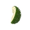 【毛友愛】現貨快速出貨 貓咪榴蓮磨牙慢食抓癢梳 磨牙玩具 慢食玩具 抓癢玩具 貓咪梳子 貓咪玩具 貓咪生活用品 貓薄荷-規格圖8