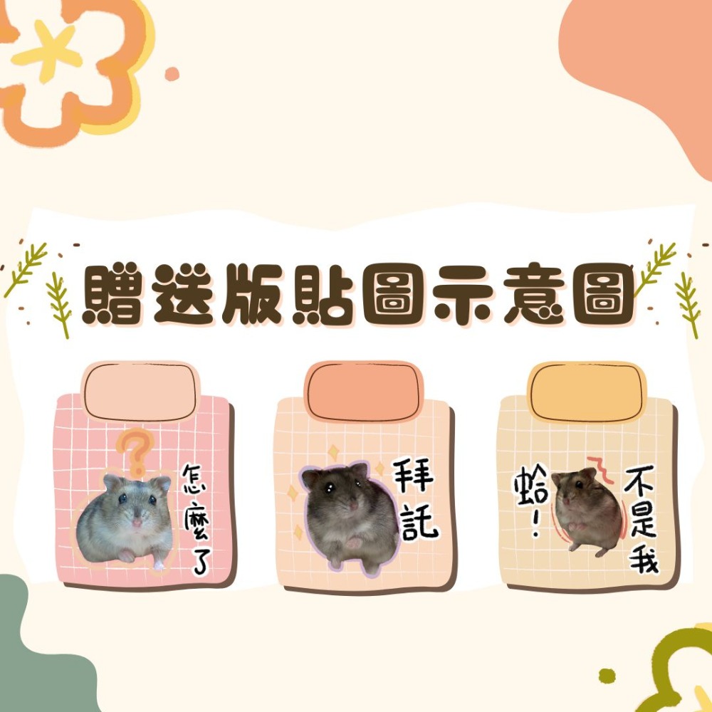 現貨!!5001磨牙石、磨牙飼料、實驗室🐹啾鼠星球🐹倉鼠手作、磨牙、堅果、果乾、零食、點心、黃金、三線鼠等多種鼠皆可-細節圖3