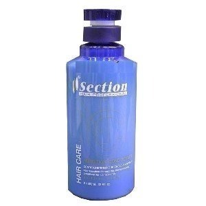 【Section 雪克遜】一分鐘瞬間護髮靈500ml // 1000ml-規格圖1