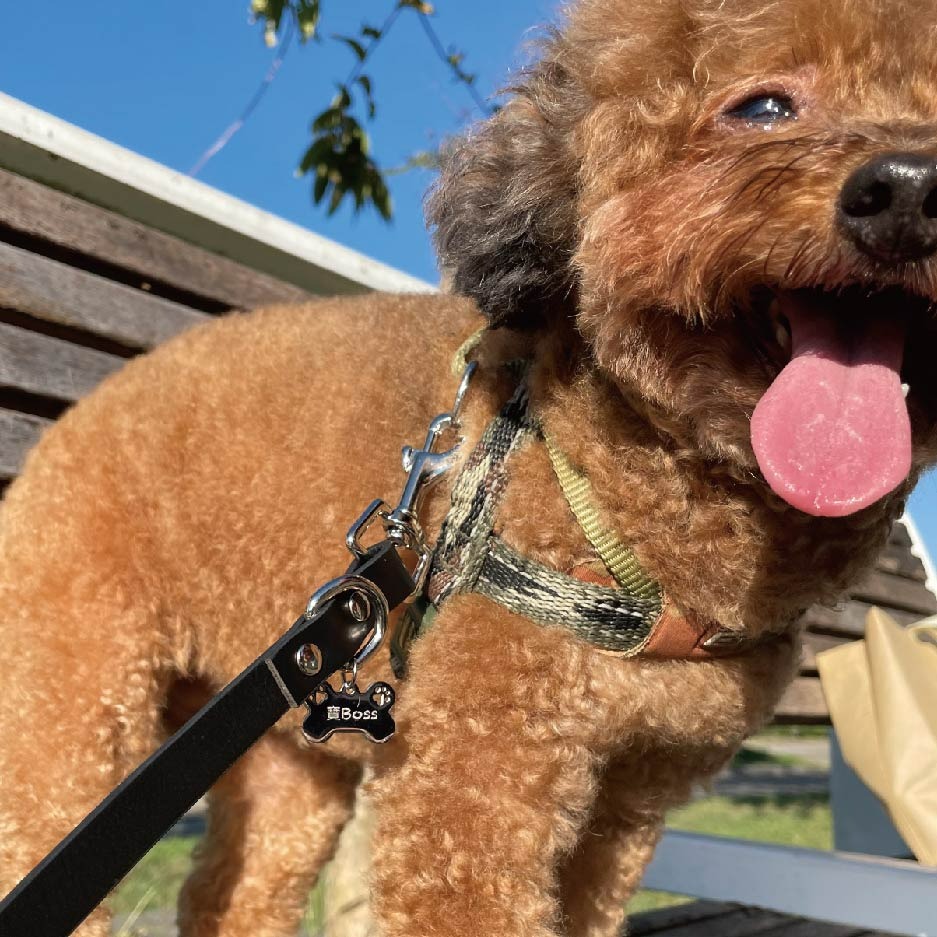 毛小孩皮革牽繩 100% Genuine Leather台灣製造-細節圖5