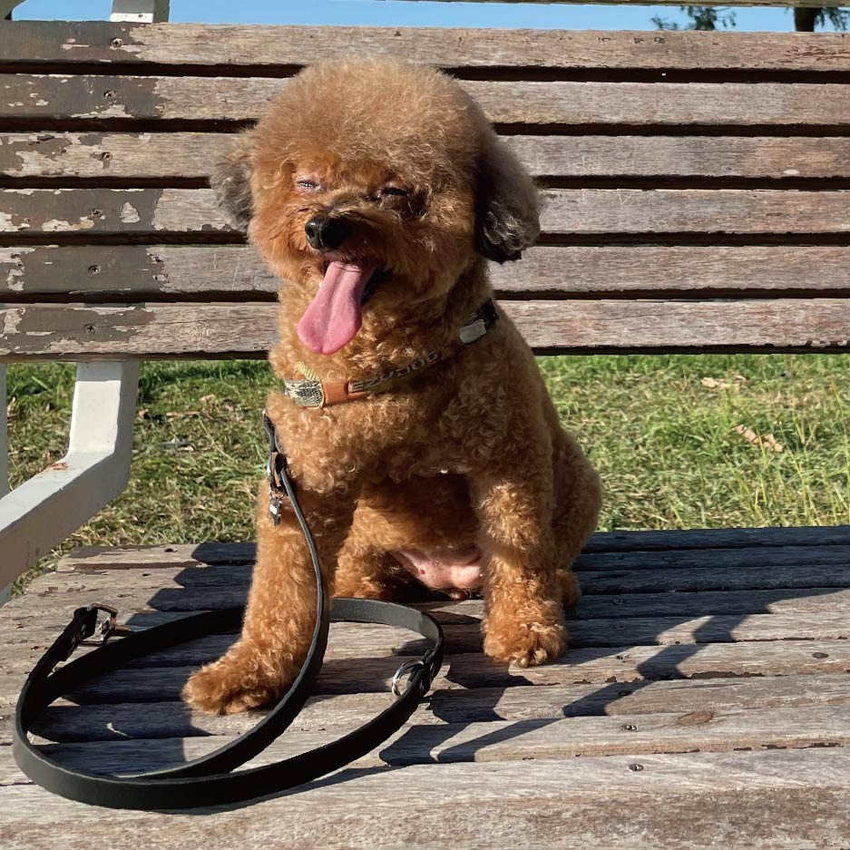 毛小孩皮革牽繩 100% Genuine Leather台灣製造-細節圖9