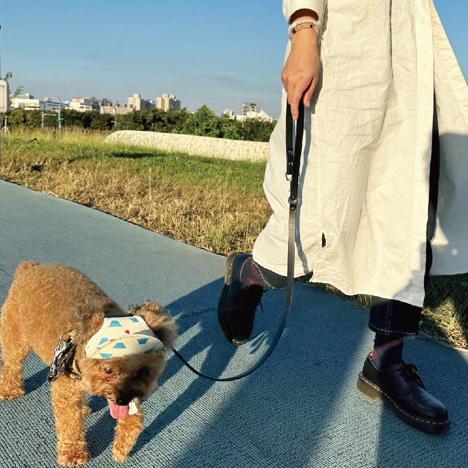 毛小孩皮革牽繩 100% Genuine Leather台灣製造-細節圖10