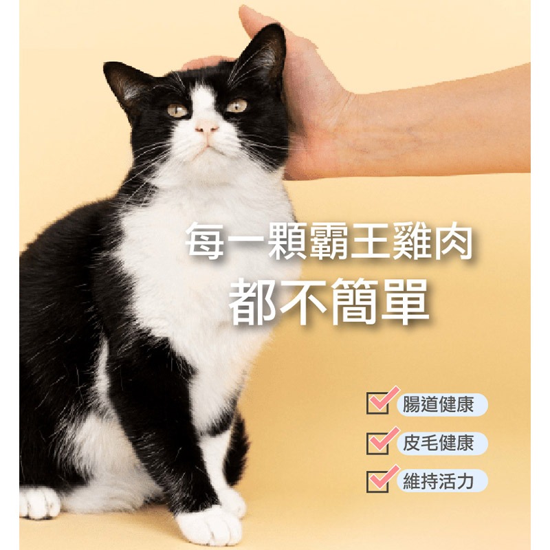 【貓咪也瘋狂】ParkCat貓樂園 天然無敵貓糧系列 多件優惠 寵物飼料 貓糧 貓飼料 全齡貓 無榖貓糧-細節圖6