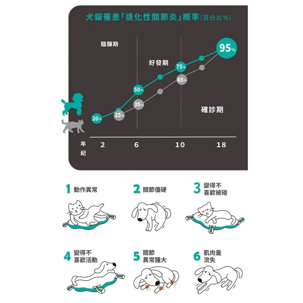 【買黑寵送護具】OPet Light Care黑寵光呵護儀 (寵物保健 寵物呵護 寵物專用)-細節圖4