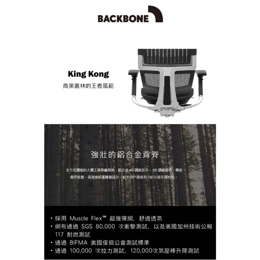 Backbone King Kong人體工學椅 旗艦椅-特強網款 文墨黑-細節圖2