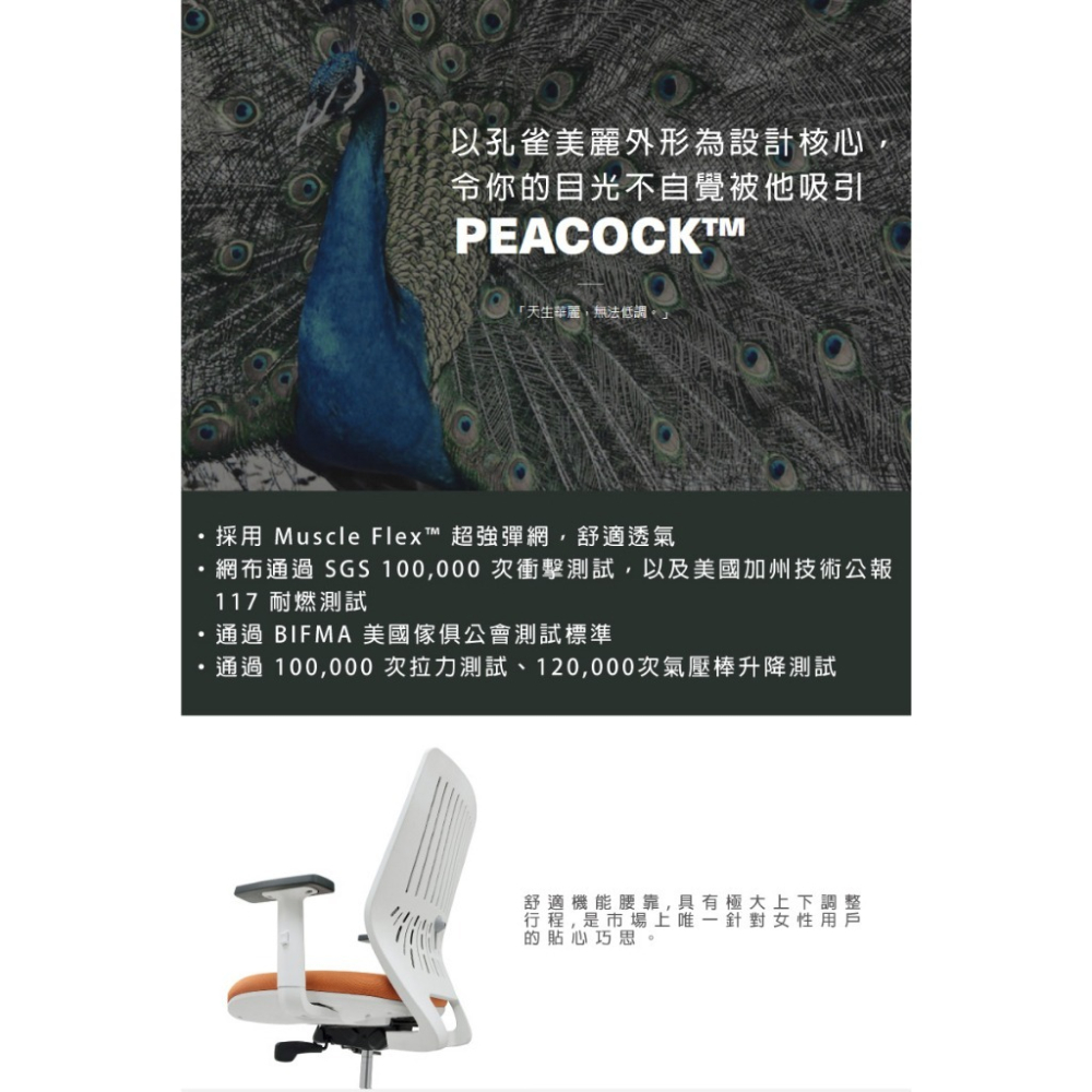 【Backbone】 Peacock人體工學椅 -白框黑座 含頭枕-細節圖4