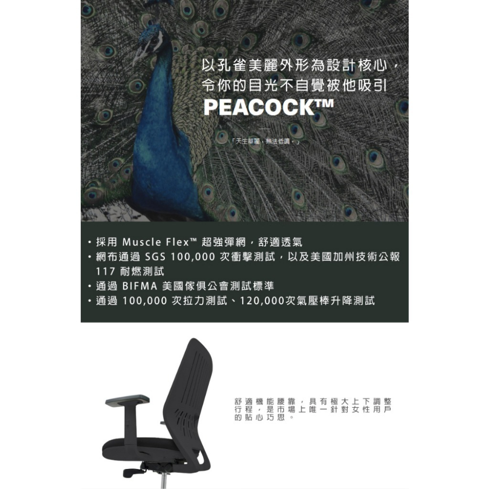 【Backbone】 Peacock人體工學椅 -黑框黑座 含頭枕-細節圖5