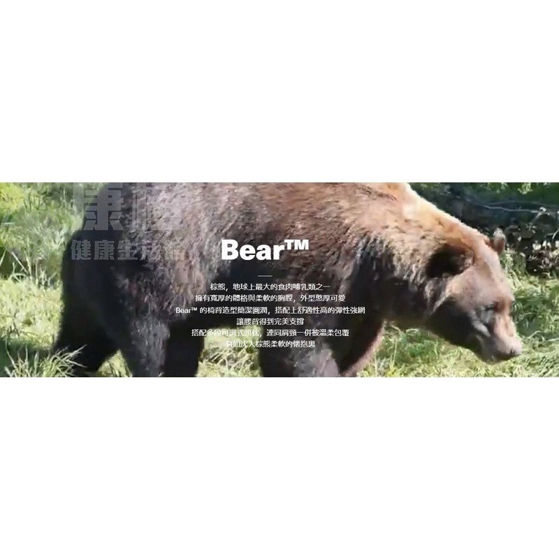 【Backbone】Bear 人體工學椅-細節圖3