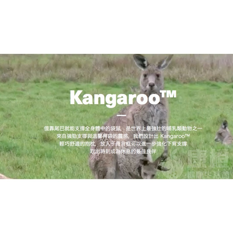 【Backbone】Kangaroo 人體工學椅-細節圖3