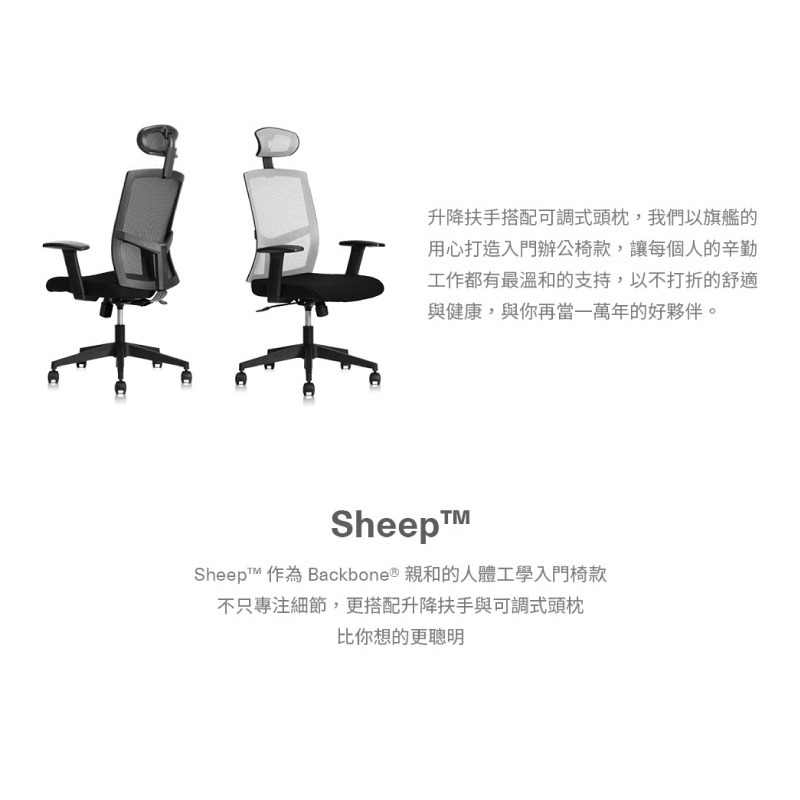 【Backbone】Sheep人體工學椅-細節圖4