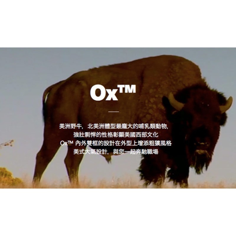 【Backbone】Ox 人體工學椅-細節圖3