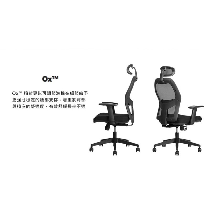 【Backbone】Ox 人體工學椅-細節圖5