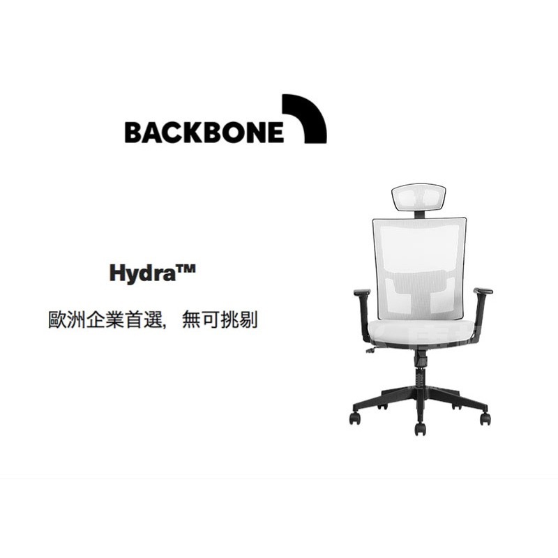 【Backbone】Hydra 人體工學椅-細節圖2