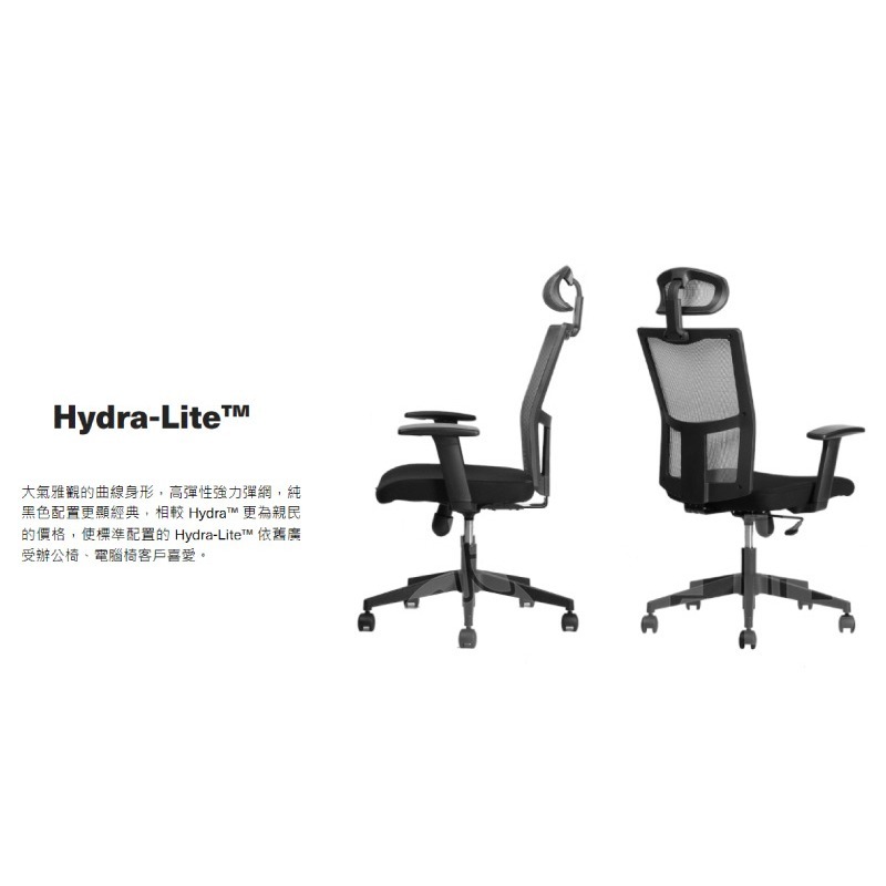 Backbone HydraLite 人體工學椅-細節圖2