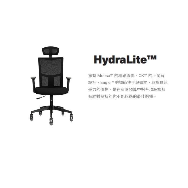 Backbone HydraLite 人體工學椅-細節圖3