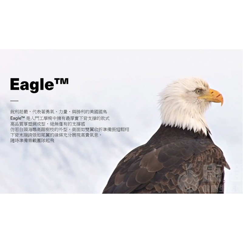 【Backbone】Eagle 人體工學椅-細節圖3