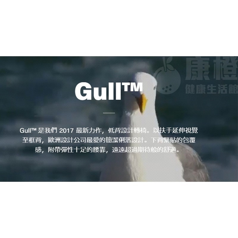 【Backbone】Gull人體工學椅-細節圖3