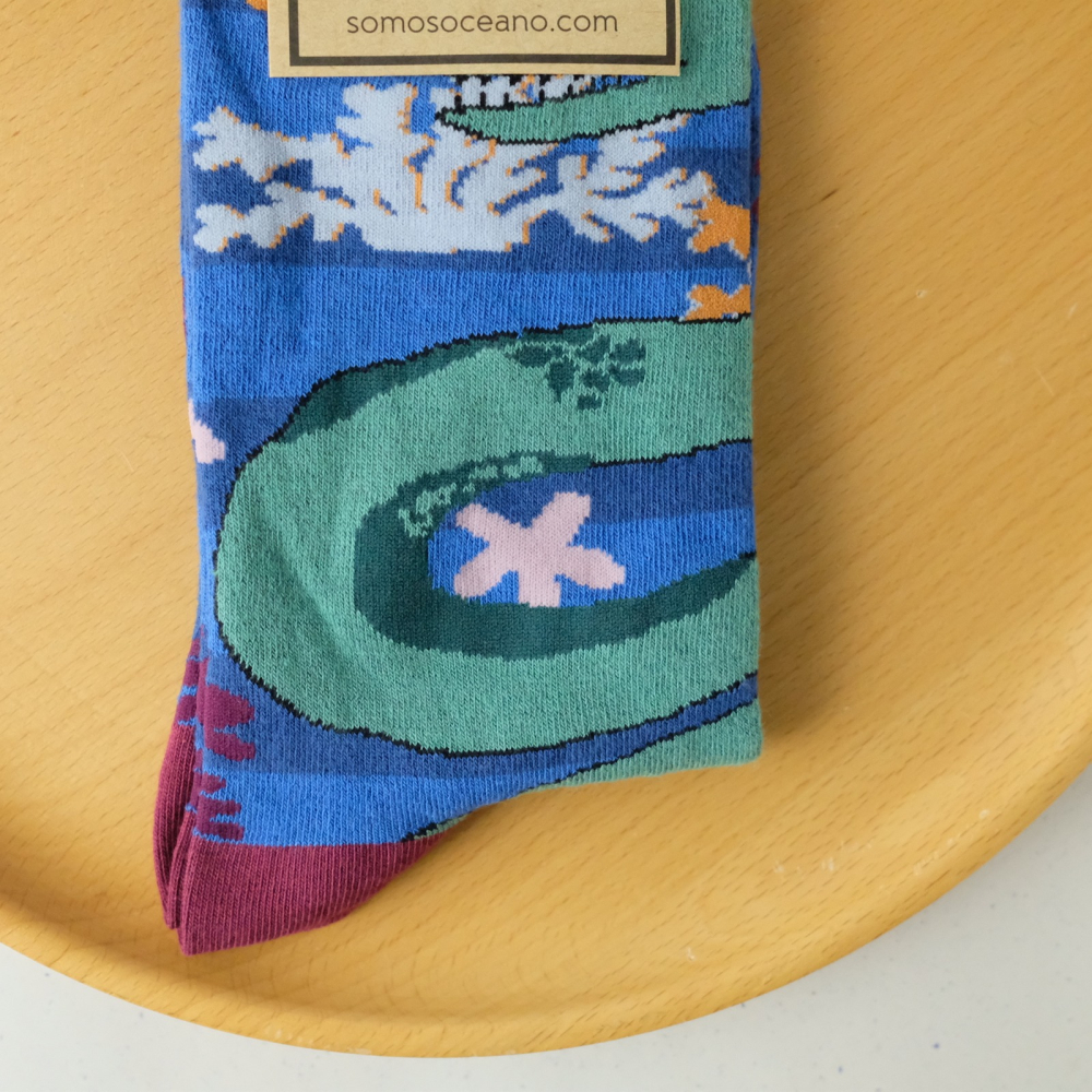 【官方正品現貨在台】SomosOcéano 西班牙加利西亞設計襪 歐洲製 海洋系 Morena 海鰻 精梳棉襪-細節圖6