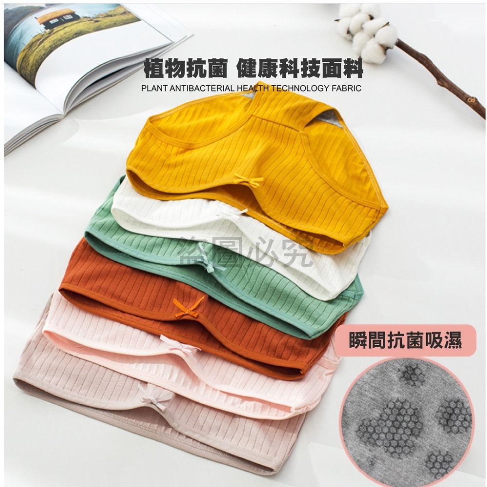 🔥舒適彈力🔥石墨烯棉質內褲 女生內褲 少女內褲 舒適小褲 貼身內褲石墨稀內褲 三角內褲 流行內褲 中腰內褲女性內褲-細節圖4