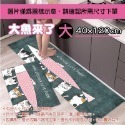 〔11〕大魚來了｜40x120｜廚房地墊