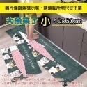 🔥壓紋防滑🔥卡通廚房地墊 廚房長條地墊 廚房地墊 地墊 防滑地墊 吸水地墊 廚房腳踏墊 短絨廚房地墊 廚房腳墊-規格圖7