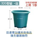 320【花盆】青山控根 超取上限5個