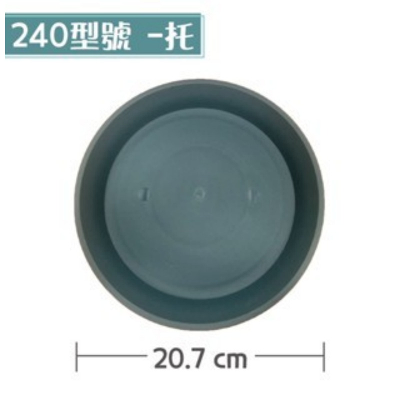 240 青山控根【托盤】