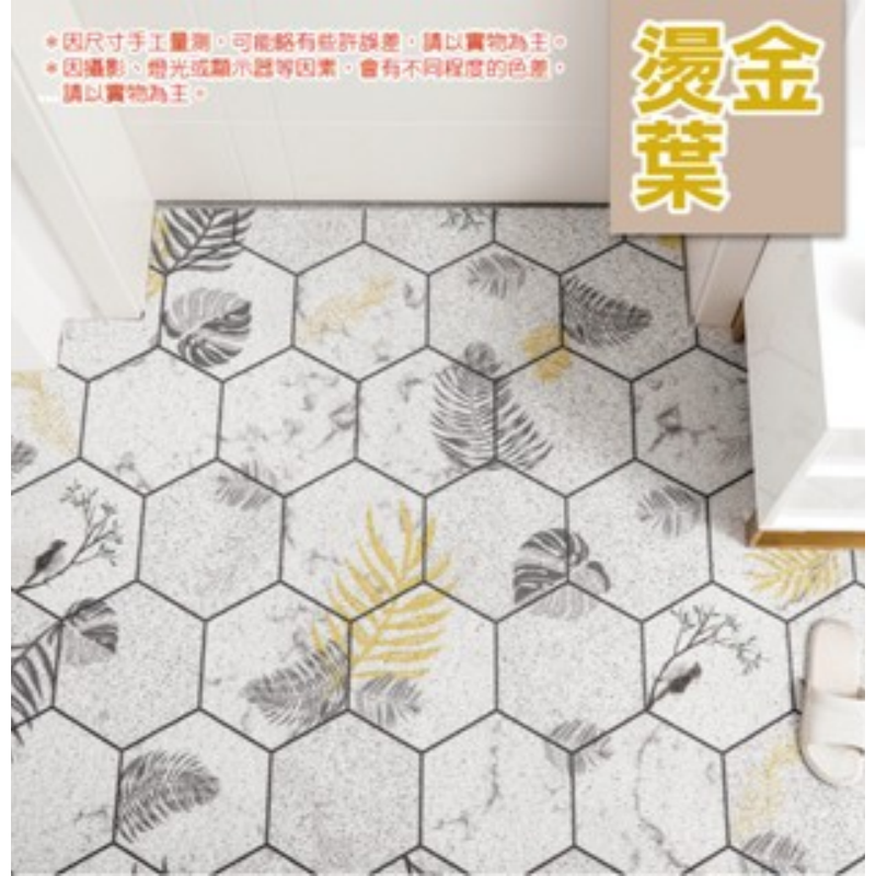 🔥加大超低價🔥絲圈地墊 刮泥絲圈地墊 門口地墊 刮泥蹭土地墊 PVC地墊 玄關地墊 刮泥地墊  腳踏墊 大尺寸地墊-規格圖7