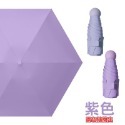 紫色 6骨雨傘