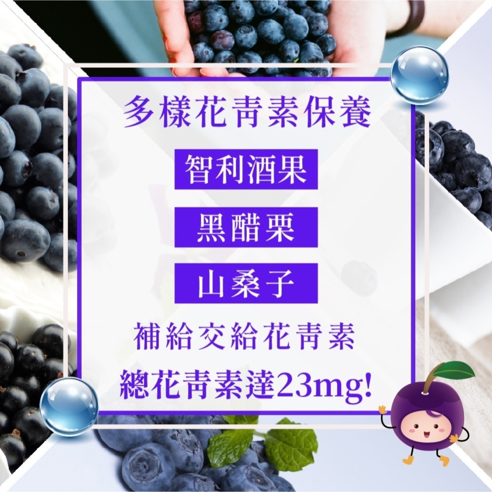 智利酒果金盞花萃取(含葉黃素)-細節圖4