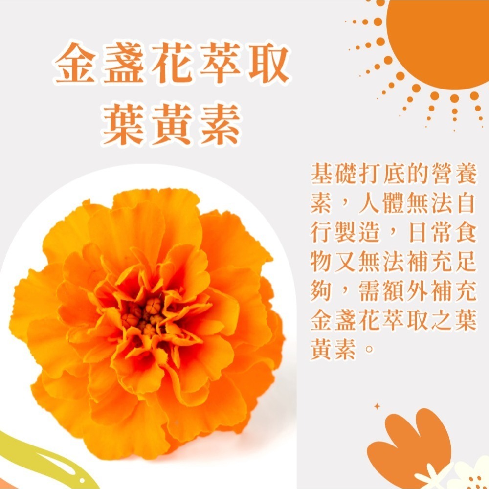 智利酒果金盞花萃取(含葉黃素)-細節圖5